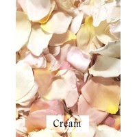 2 x Flower Girl Baskets with Rose Petals